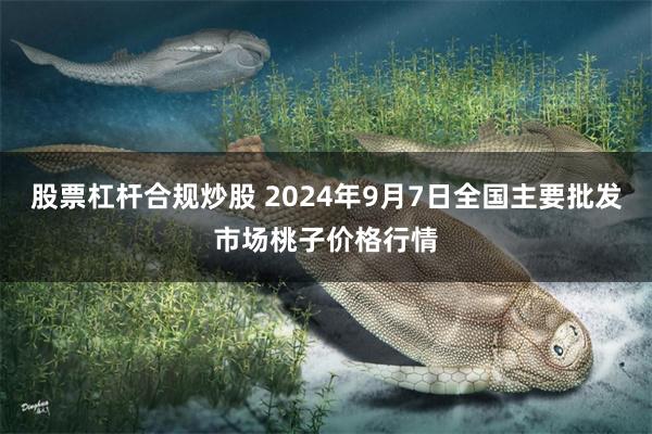 股票杠杆合规炒股 2024年9月7日全国主要批发市场桃子价格行情