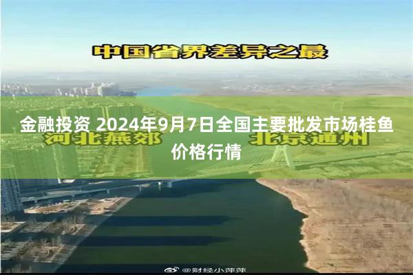 金融投资 2024年9月7日全国主要批发市场桂鱼价格行情