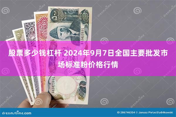 股票多少钱杠杆 2024年9月7日全国主要批发市场标准粉价格行情