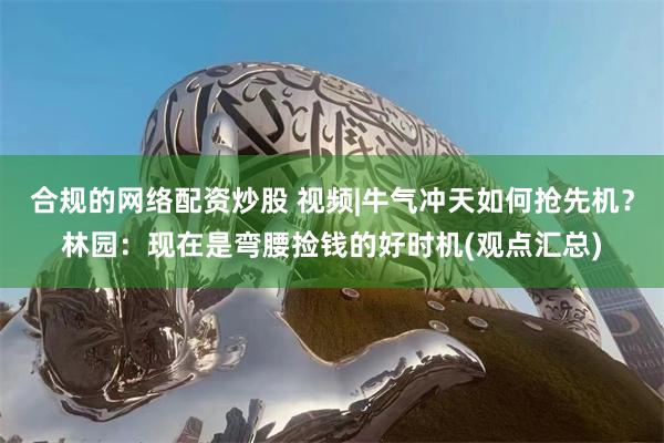 合规的网络配资炒股 视频|牛气冲天如何抢先机？林园：现在是弯腰捡钱的好时机(观点汇总)