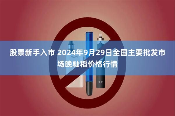 股票新手入市 2024年9月29日全国主要批发市场晚籼稻价格行情