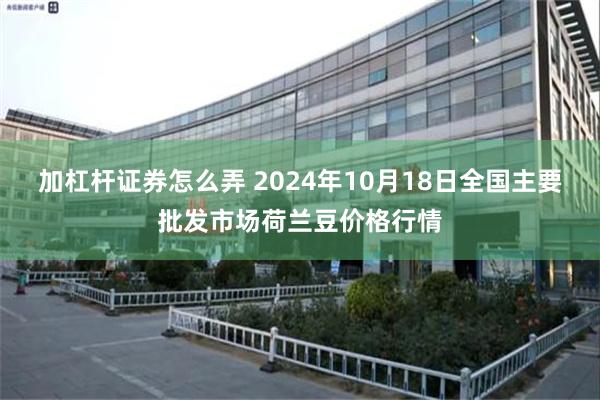 加杠杆证券怎么弄 2024年10月18日全国主要批发市场荷兰豆价格行情