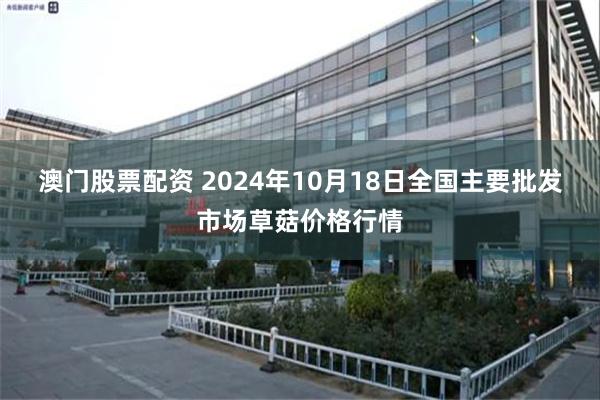 澳门股票配资 2024年10月18日全国主要批发市场草菇价格行情