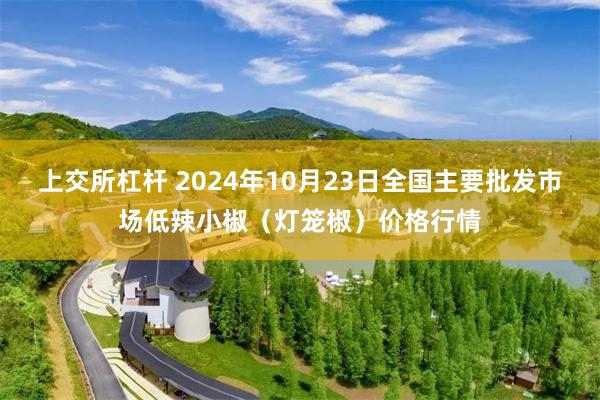 上交所杠杆 2024年10月23日全国主要批发市场低辣小椒（灯笼椒）价格行情