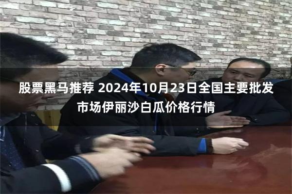 股票黑马推荐 2024年10月23日全国主要批发市场伊丽沙白瓜价格行情