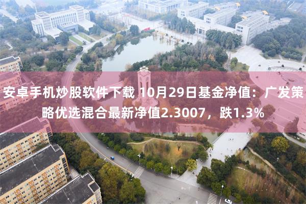 安卓手机炒股软件下载 10月29日基金净值：广发策略优选混合最新净值2.3007，跌1.3%