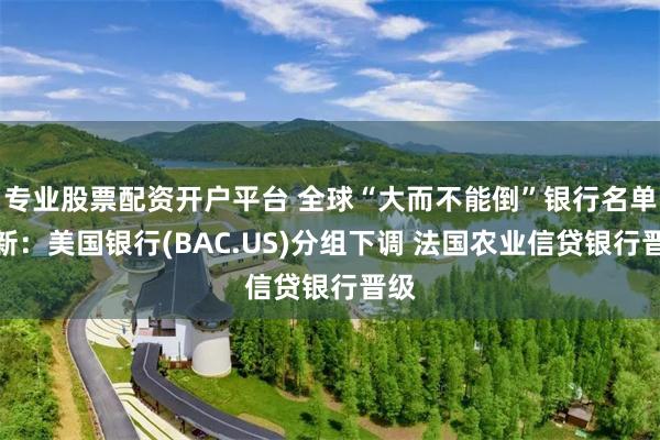 专业股票配资开户平台 全球“大而不能倒”银行名单更新：美国银行(BAC.US)分组下调 法国农业信贷银行晋级