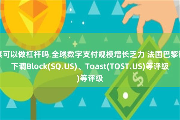 股票可以做杠杆吗 全球数字支付规模增长乏力 法国巴黎银行下调Block(SQ.US)、Toast(TOST.US)等评级