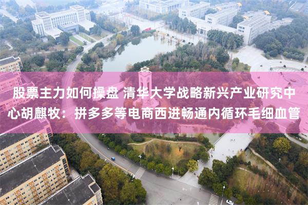 股票主力如何操盘 清华大学战略新兴产业研究中心胡麒牧：拼多多等电商西进畅通内循环毛细血管